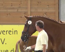 dressage horse La Rosière (Hannoveraner, 2013, from Londonderry)