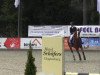 jumper Goldrose 14 (Belgian Warmblood, 2002)