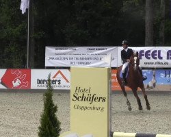 jumper Goldrose 14 (Belgian Warmblood, 2002)