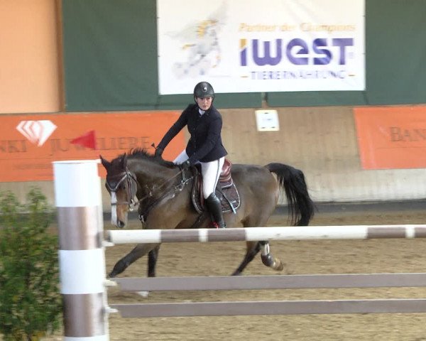 Reitturnier Gut Winkelacker/Obb. 2020