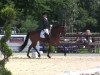 dressage horse Let me dance (Hanoverian, 2008, from Lord Loxley I)