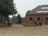 dressage horse Cara Carlina (German Riding Pony, 2008, from Constantin)