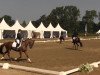 dressage horse Elysee 66 (Westphalian, 2009, from Estobar NRW)