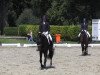 dressage horse Rosario-S (Westphalian, 2010, from Rohdiamant)