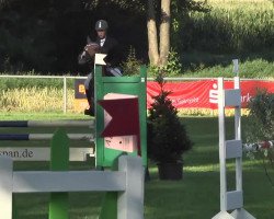 jumper Baleri (German Sport Horse, 2008, from Baloubino B)