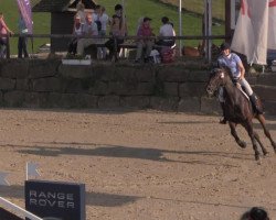 dressage horse Sally (Welsh-Pony (Section B), 2008, from Sandro Hit)