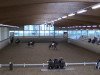 dressage horse Clever and Smart S (Oldenburg, 2008, from Collado)