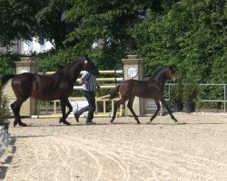 jumper Rock For Money (Westfale, 2013, from Rock Forever NRW)