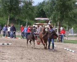 jumper Be my Friend H (German Riding Pony, 2013, from Top Berlin)