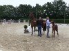 dressage horse Rockhampton (Westphalian, 2013, from Rock Forever NRW)