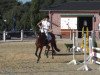 dressage horse Sira Sar (Oldenburg, 2009, from Sir Donnerhall I)