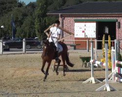 dressage horse Sira Sar (Oldenburg, 2009, from Sir Donnerhall I)