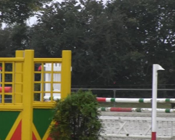 jumper Gic Micky (Westphalian, 2009, from Gracieux)