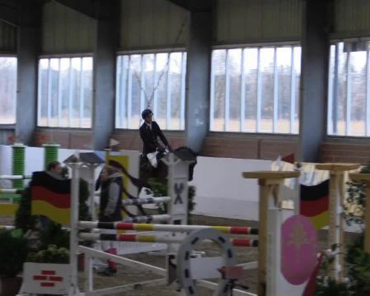 jumper Captain Prausitz (Westphalian, 2009, from Captain Fire)