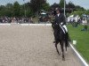 dressage horse Fuego 123 (Westphalian, 2010)