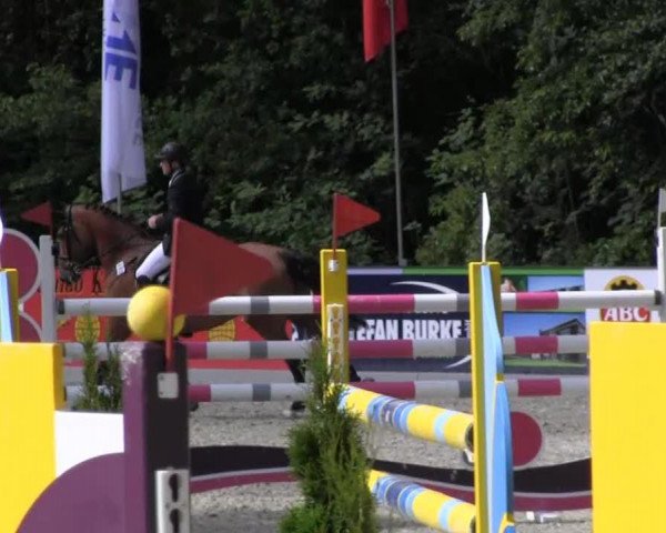 jumper Zheraton (KWPN (Royal Dutch Sporthorse), 2004)