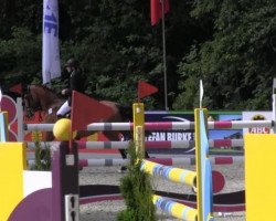 jumper Zheraton (KWPN (Royal Dutch Sporthorse), 2004)