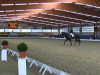 dressage horse Forever Compliment (Oldenburg, 2009, from For Compliment)