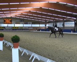 dressage horse Forever Compliment (Oldenburg, 2009, from For Compliment)