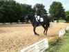 dressage horse La Coste P (Rhinelander, 2007, from Lanciano)