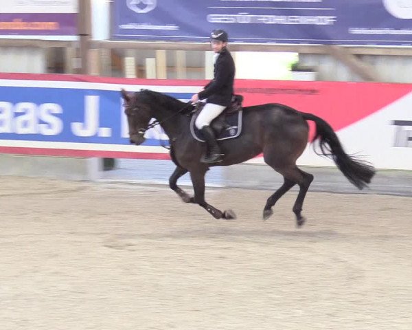 Reitturnier Negernbötel 2020, 2. Nordic Jumping event 2020/2021