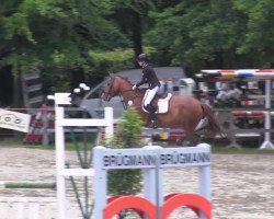 broodmare Hummel 80 (Oldenburg show jumper, 2007, from Hornet Rose)