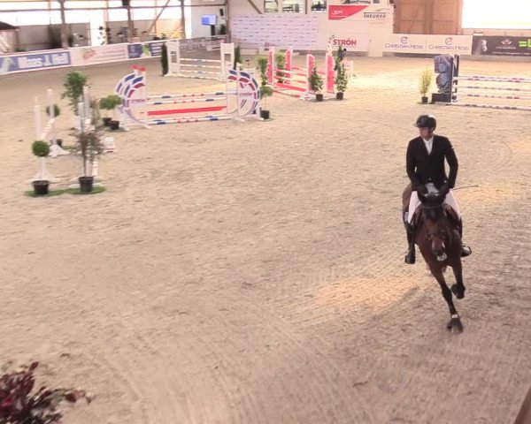 Reitturnier Negernbötel 2020, 2. Nordic Jumping event 2020/2021