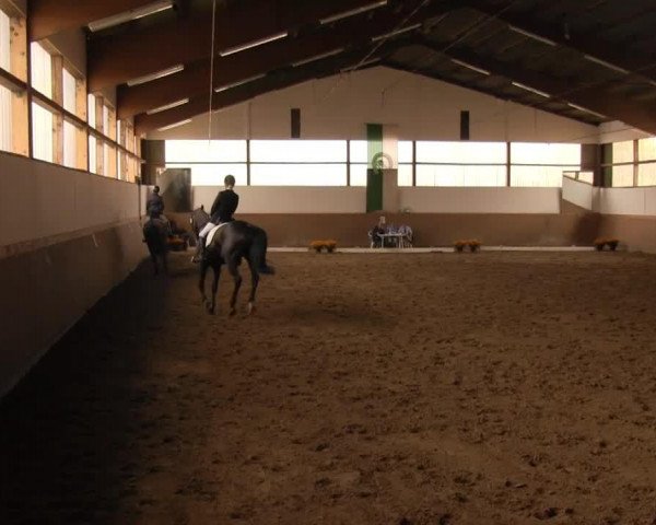 dressage horse Freudenkavalier (Westphalian, 2002)