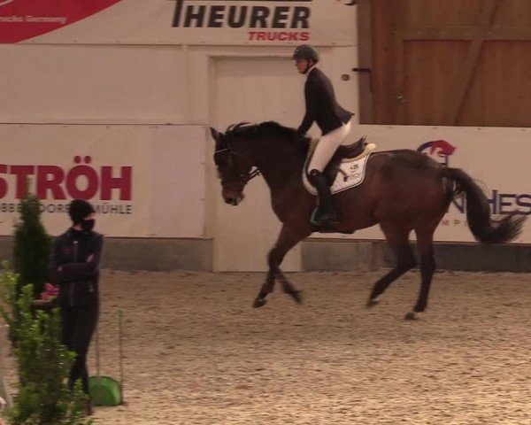 Reitturnier Negernbötel 2020, 2. Nordic Jumping event 2020/2021