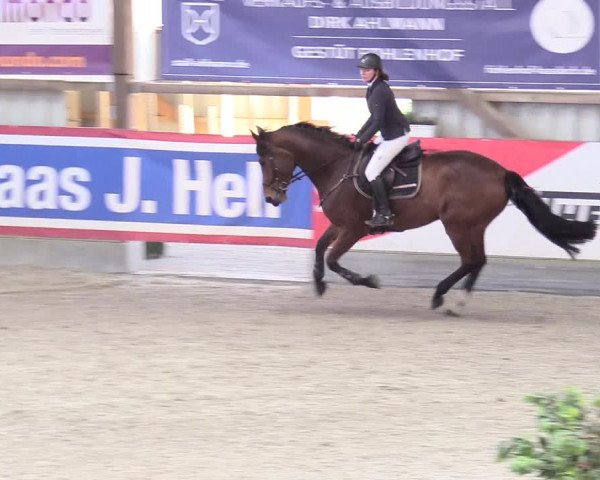 Reitturnier Negernbötel 2020, 2. Nordic Jumping event 2020/2021