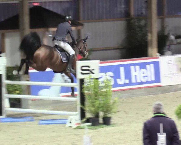 Reitturnier Negernbötel 2020, 2. Nordic Jumping event 2020/2021