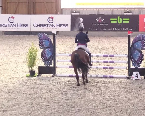 Reitturnier Negernbötel 2020, 2. Nordic Jumping event 2020/2021