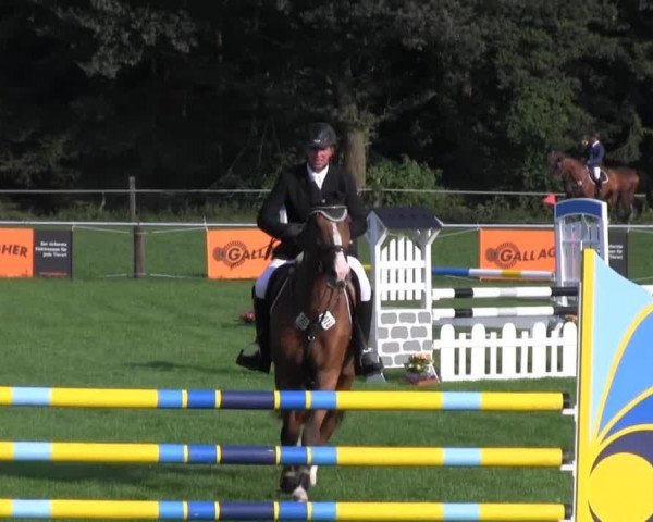 jumper Louis 304 (Hanoverian, 2009)