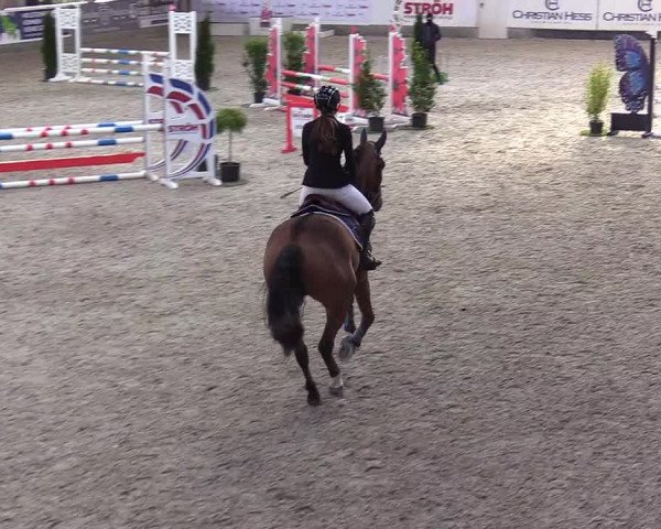 Reitturnier Negernbötel 2020, 2. Nordic Jumping event 2020/2021