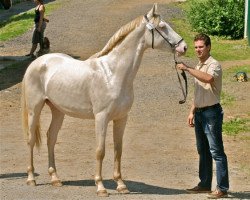 Deckhengst Baron Exactly (Nederlands Rijpaarden en Pony, 2009, von Baron)