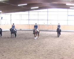 dressage horse Fine Deern 4 (Westphalian, 2009, from Floresco NRW)