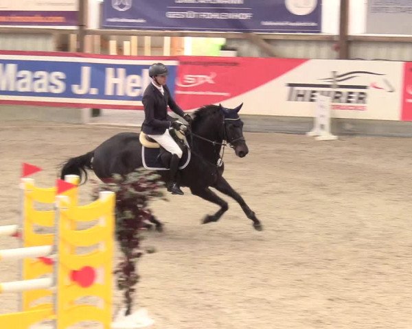 Reitturnier Negernbötel 2020, 2. Nordic Jumping event 2020/2021