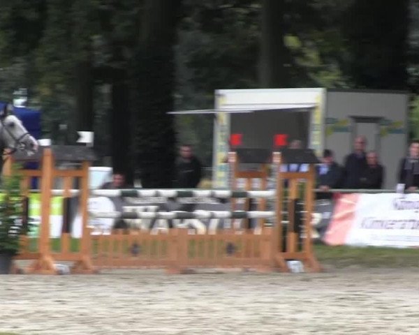 jumper Bolinia (KWPN (Royal Dutch Sporthorse), 2006, from Radisson)