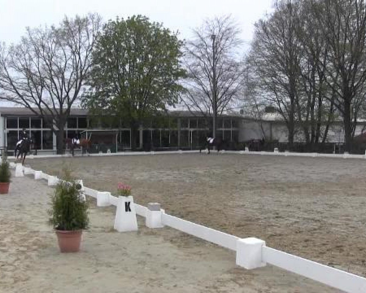 jumper Padua 99 (Westphalian, 2009, from Peking)