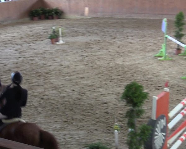 Reitturnier Prussendorf 2020