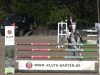 jumper Bravour van de Boswinning (Belgian Warmblood, 2002, from Parco)