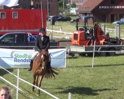 dressage horse La Petite 59 (Hanoverian, 2008, from Lauscher)