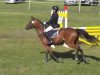 jumper Corinna 117 (German Riding Pony, 2004, from Crown Hartbreaker)