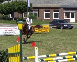 jumper Creme Brulee (Oldenburg show jumper, 2004, from Come On)