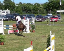 jumper Alesca 7 (KWPN (Royal Dutch Sporthorse), 2005, from Bmc Nassau)