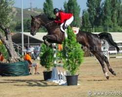 broodmare Escenta (Zweibrücken, 2006, from Escudeur)