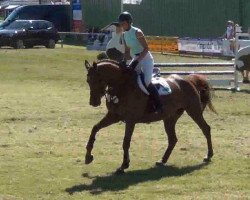 jumper Coletta 30 (Holsteiner, 2008, from Boeve's Colmander)