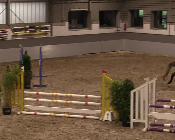 Reitturnier Luhmühlen 2020