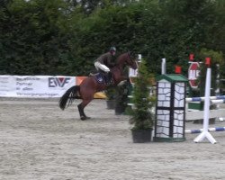 jumper Hans-Thorben (KWPN (Royal Dutch Sporthorse), 2009, from Quasimodo vd Molendreef)