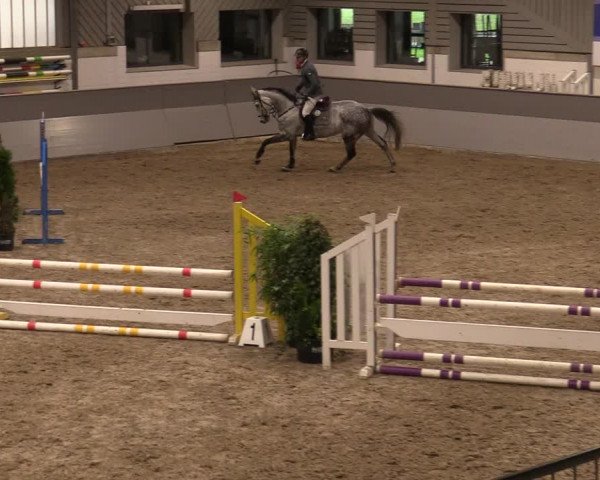 Reitturnier Luhmühlen 2020